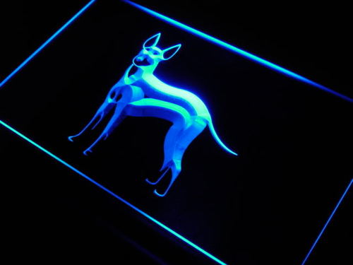 Manchester Terrier Dog Pet Shop Neon Light Sign